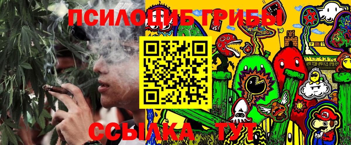Псилоцибиновые грибы GOLDEN TEACHER Добрянка