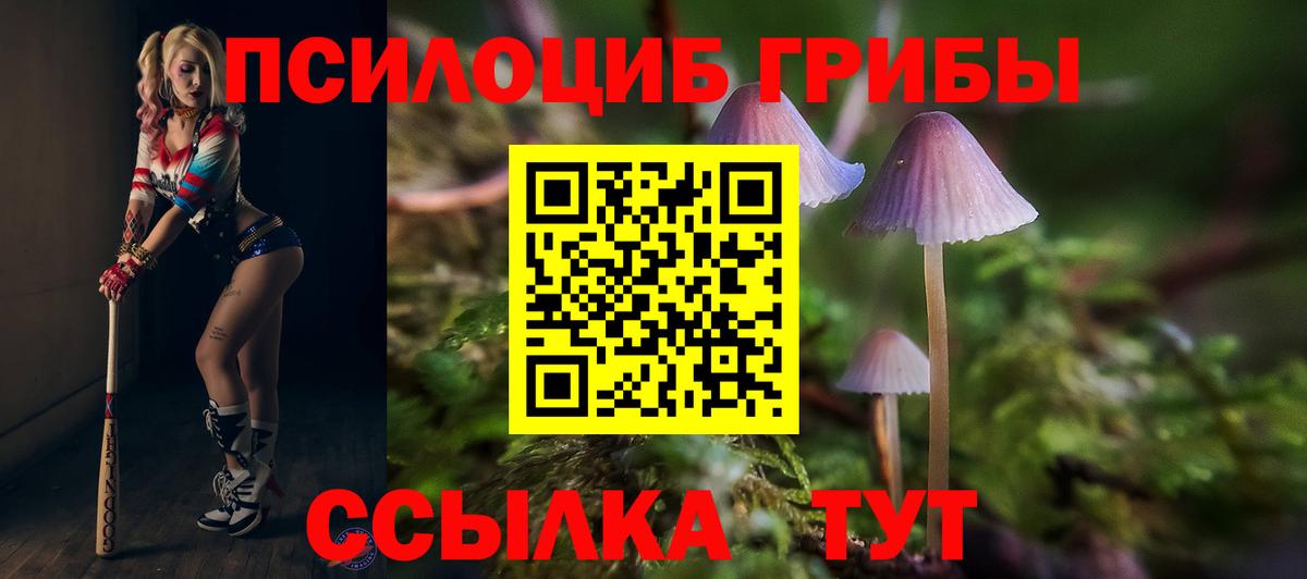 Добрянка  Псилоцибиновые грибы Psilocybine cubensis  Вход с VPN 